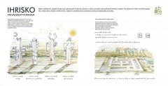 majus_zito-v-sypke_print_Page_33-2