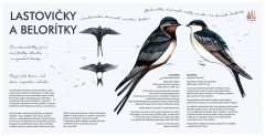 majus_zito-v-sypke_print_Page_34-1