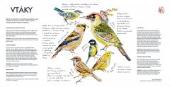 majus_zito-v-sypke_print_Page_58-1