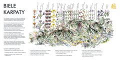 majus_zito-v-sypke_print_Page_60