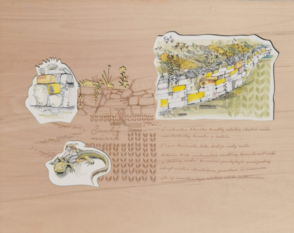 Suchý múrik ilustrácia papier a preglejka