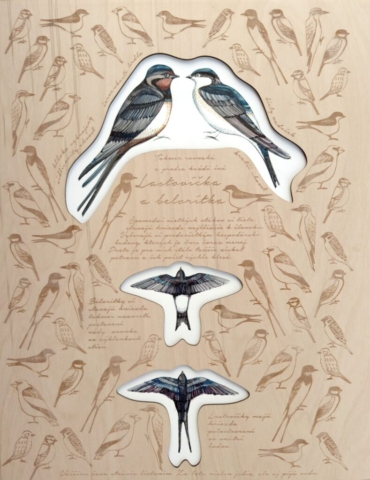 Lastovička a belorítka ilustrácia maľba na papier a preglejka